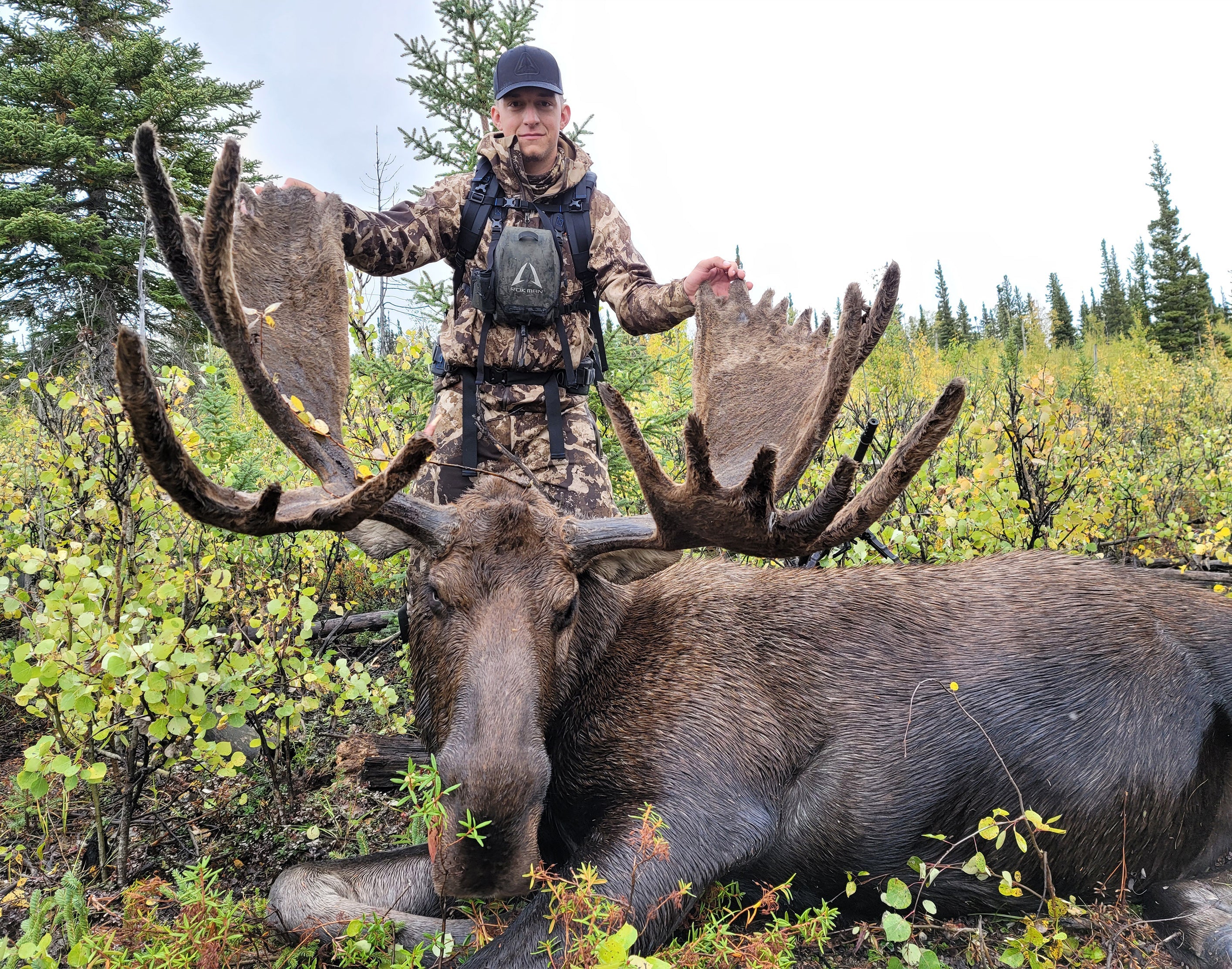 Hauling a Moose Out of the Woods: Why a Rokman Pack Frame is Worth Its Weight in Gold