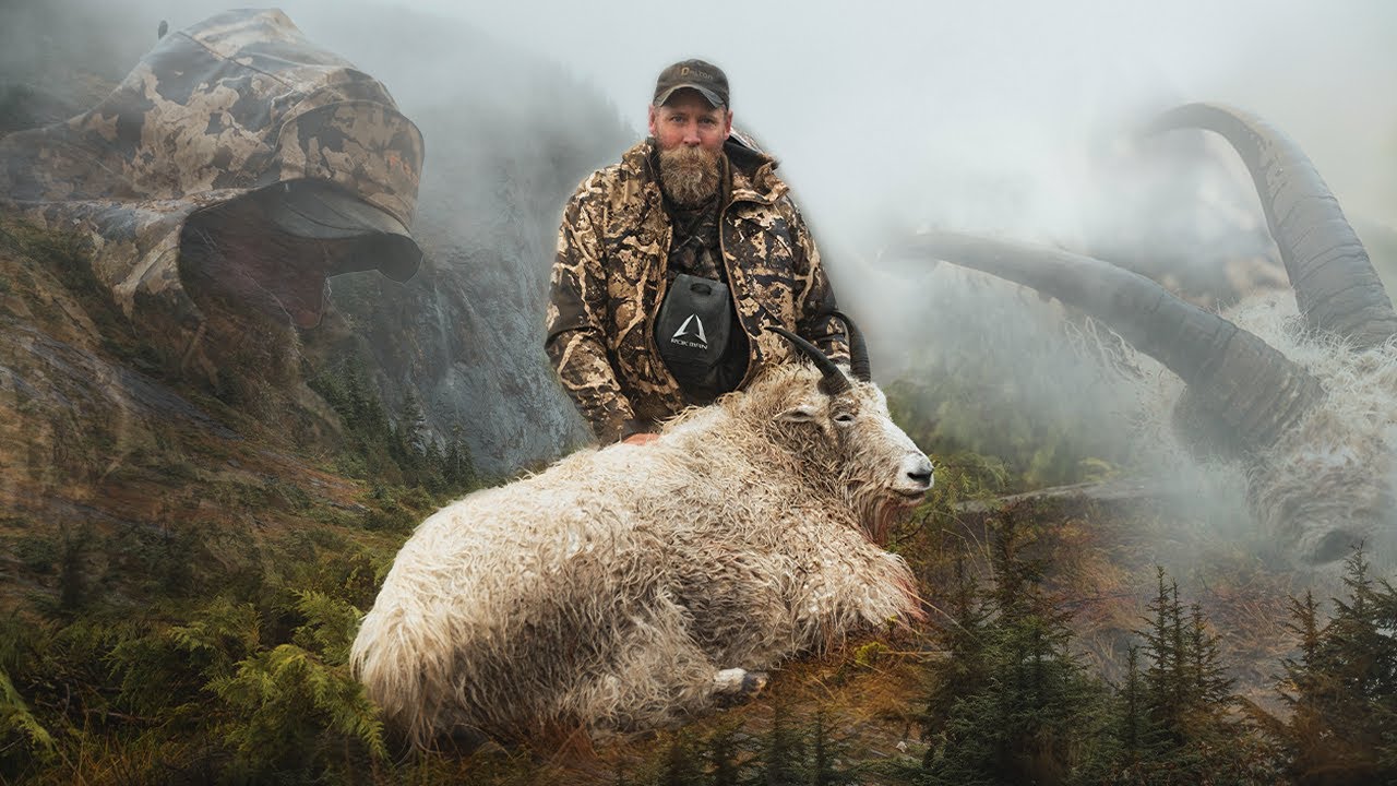 Alaska Mountain Goat Hunt: Two Billies, Brutal Weather, and a Once-in-a-Lifetime Adventure
